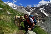 Al Rif. Ponti (2559 m), il rifugio del Disgrazia, dalla Valle di Preda Rossa il 23 giugno 2015 - FOTOGALLERY